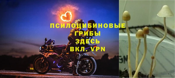 ешки Володарск
