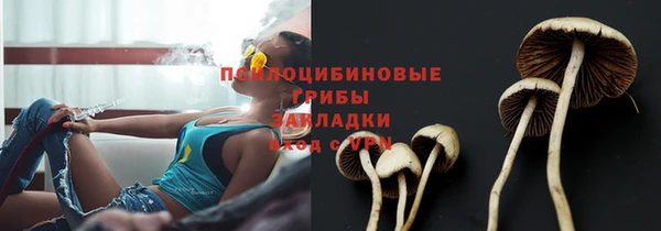 ешки Володарск
