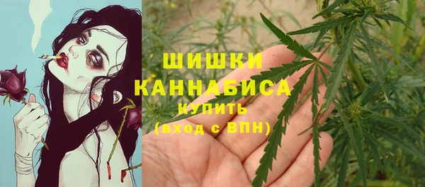 ешки Володарск